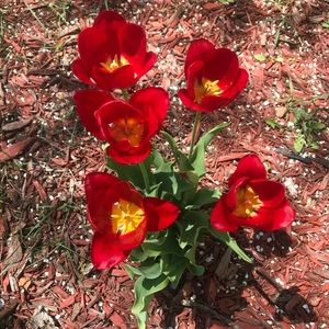 Meet your Posher, Freda